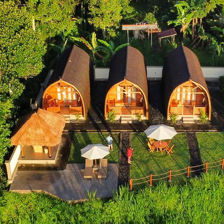 Besakih Homestay & Villa المظهر الخارجي الصورة
